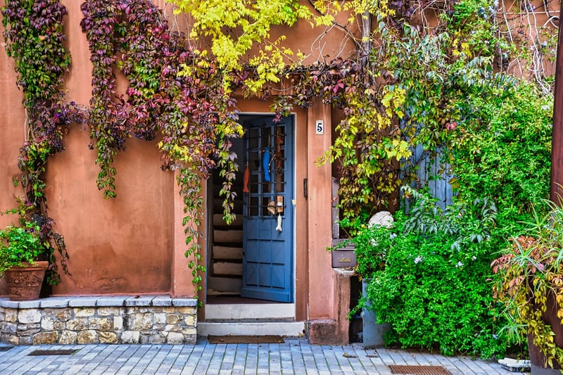 Outdoor Plant Walls