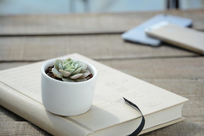 Upcycled Plant Pots